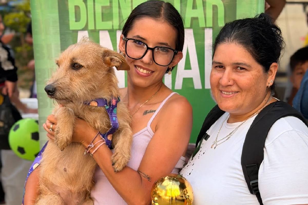 adopcion