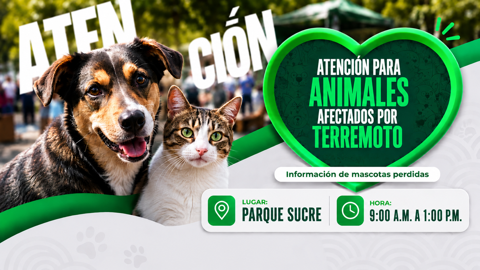 mascotas