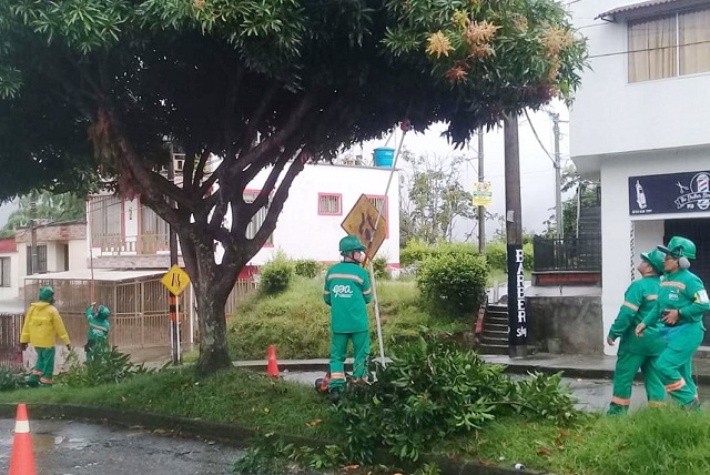 EPA BARRIO VENECIA PODA DE ARBOL