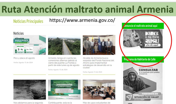 RUTA.png