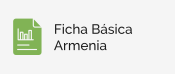 Ficha Básica Municipal de Armenia